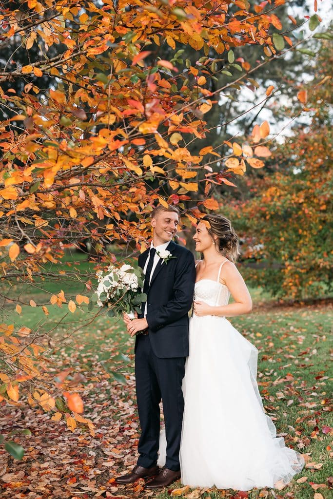 About Us The Woodhouse Wollombi