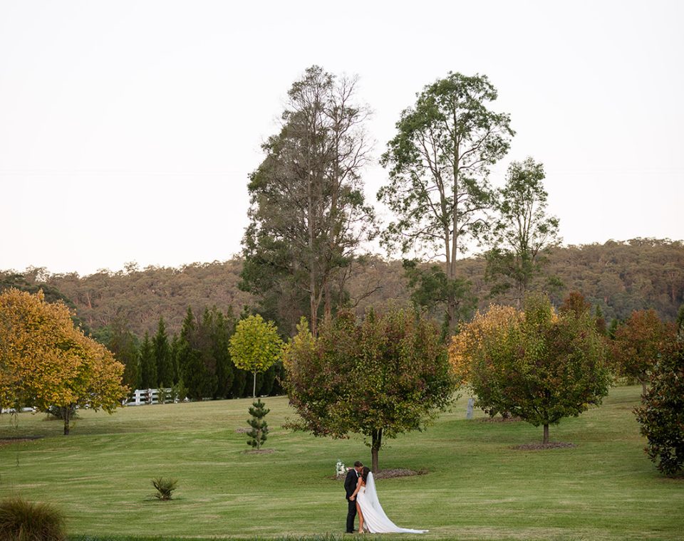 Abigail & Travis's Wedding Day